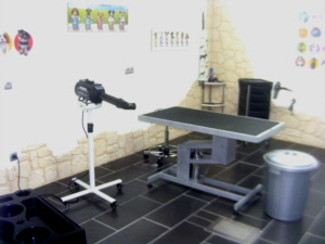 Uli`s Hundepflege, 52382 Niederzier-Selhausen, Wiesenstrasse 19